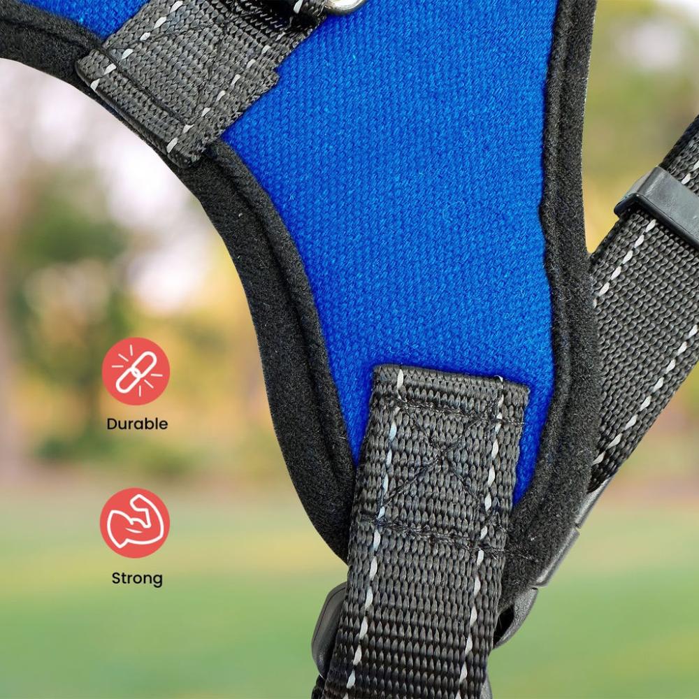 Adjustable Dog Harness M Size (Blue)