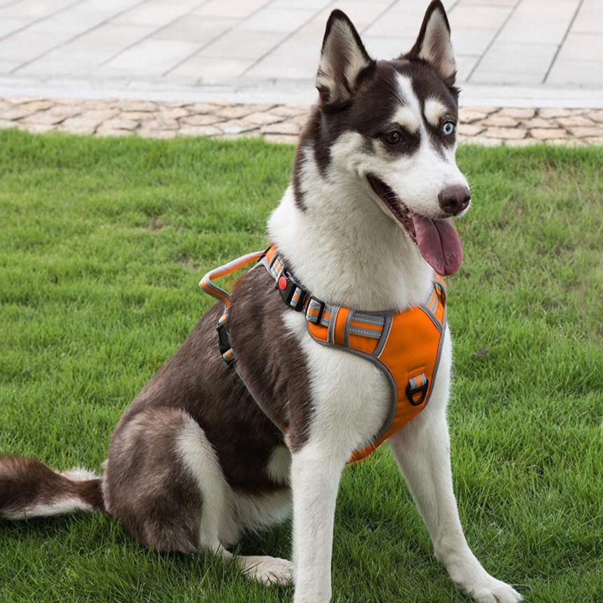 Adjustable Dog Harness Vest L Size (Orange)