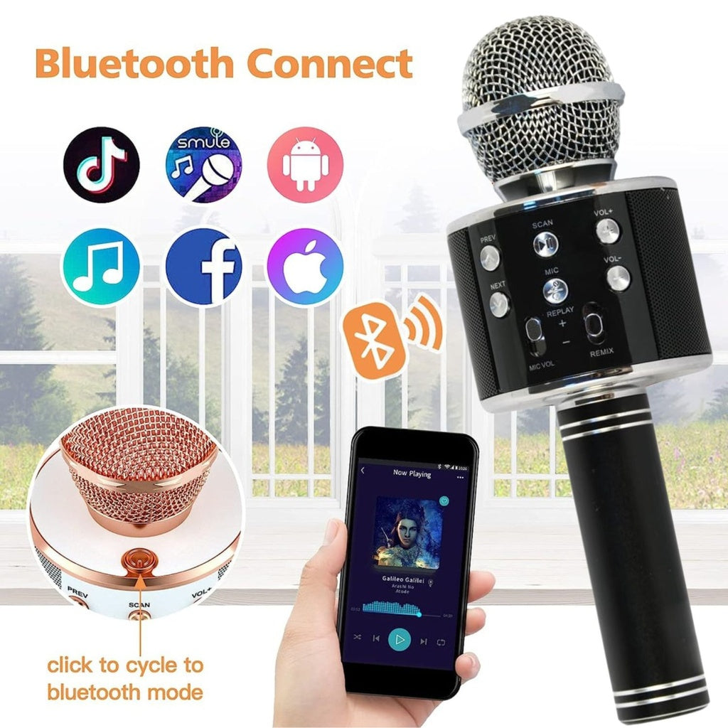 4 in 1 Wireless Bluetooth Karaoke Microphone with Record Function (Black)