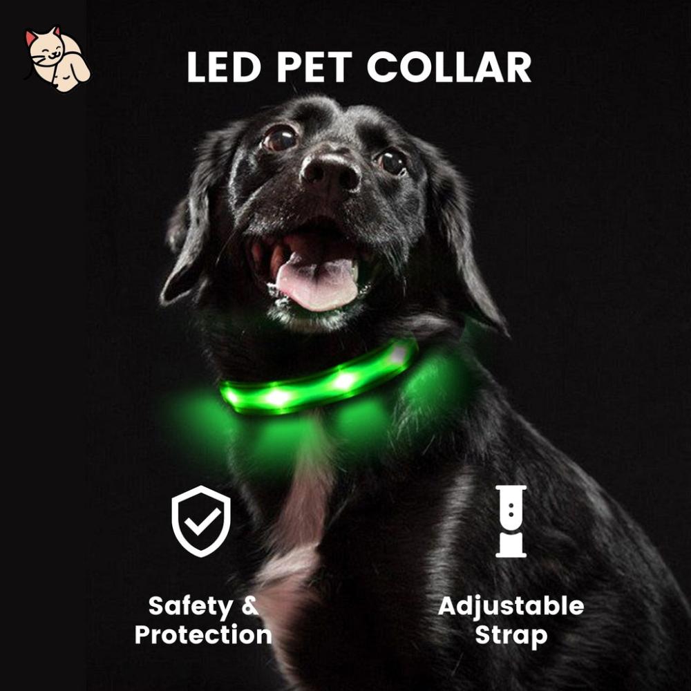 Ultra-Bright LED Dog Collar (S Black)