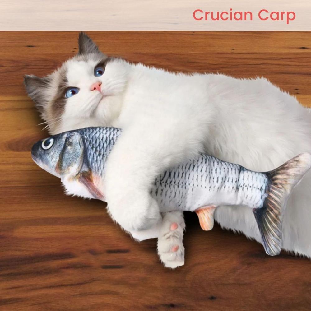 Rechargeable USB Electric Fish Toy (Crucian Carp)