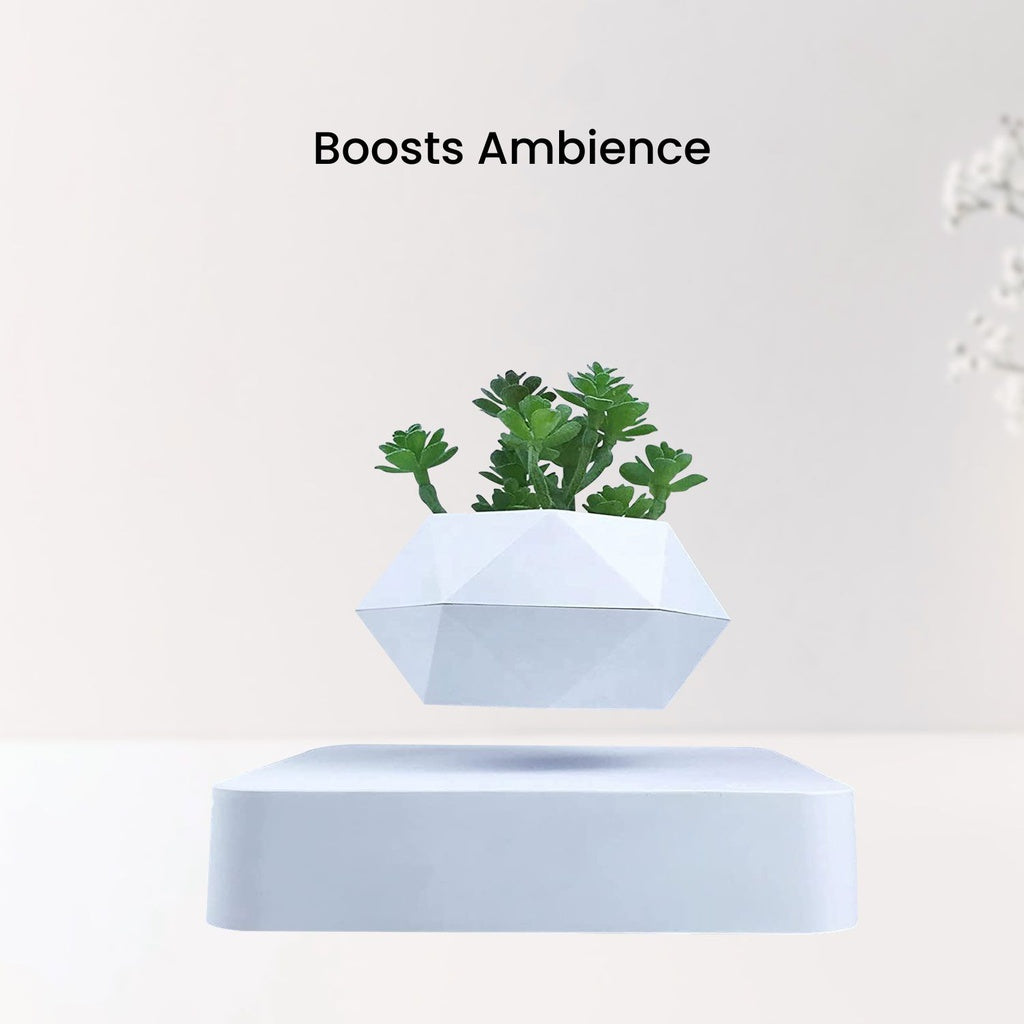 Magnetic Levitating Plant Pot - White