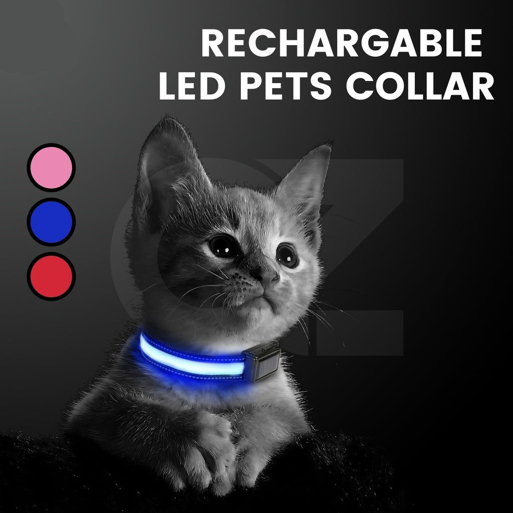 Solar USB Rechargable LED Dog Collar (L Blue)