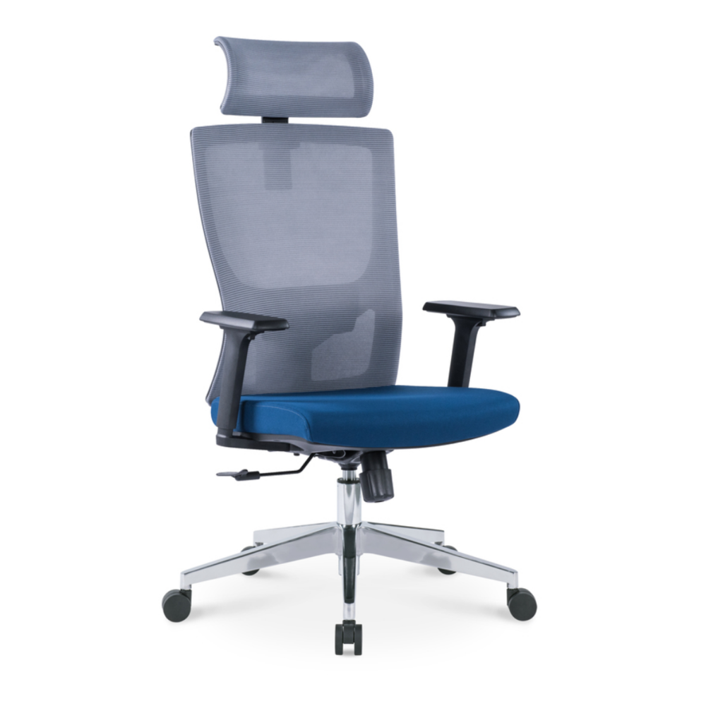 Ergonomic Durable Office Chair (Grey & Blue)