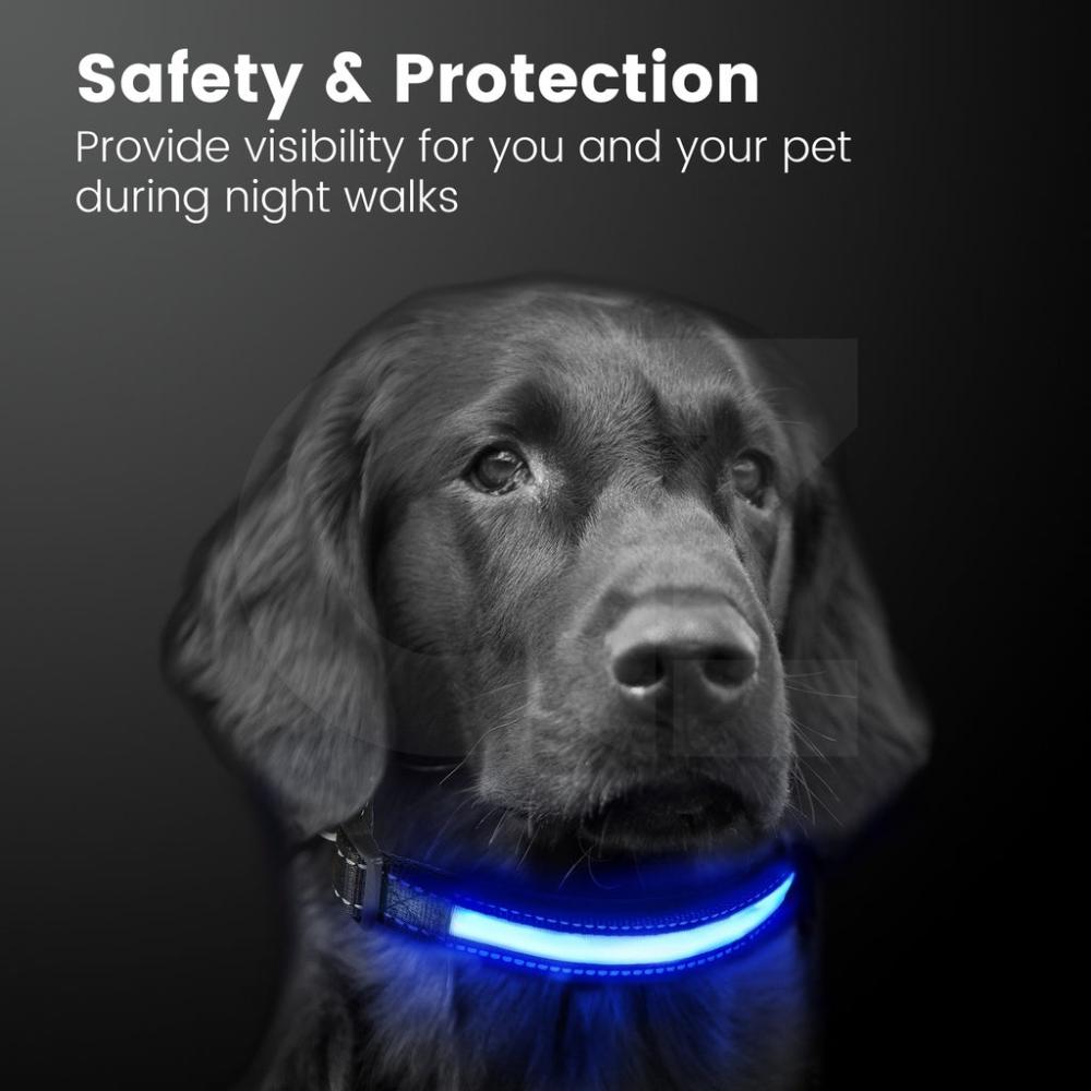 Solar USB Rechargable LED Dog Collar (L Red)