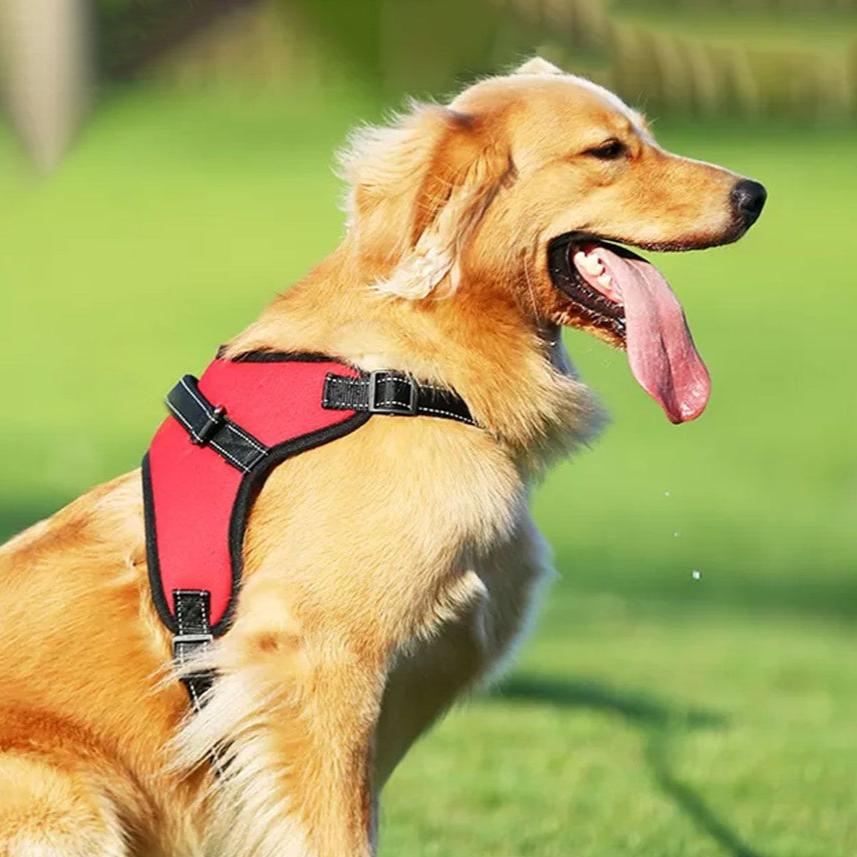 Durable Dog Harness L Size (Red)