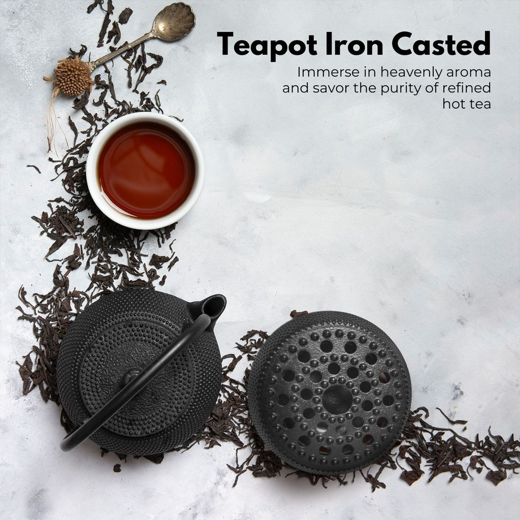 Iron Teapot with Filter and Warmer