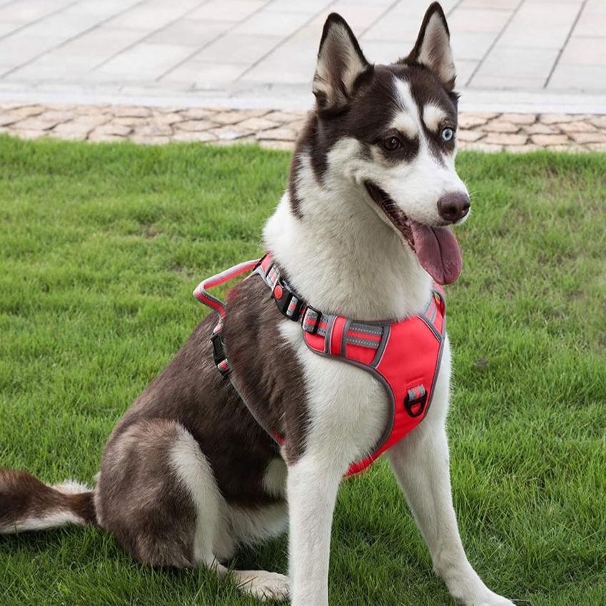 Adjustable Dog Harness Vest S Size (Red)