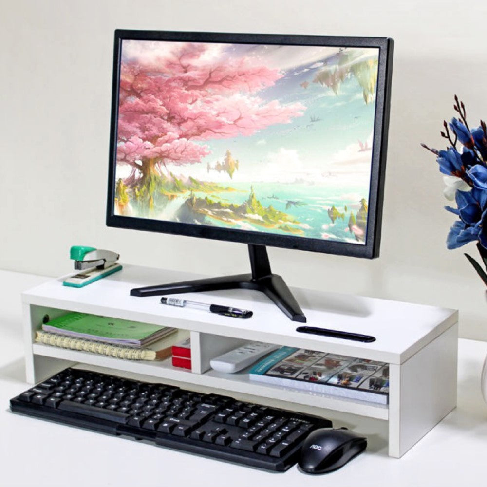 Ergonomic Monitor Stand with 2 Storage