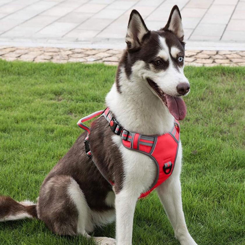 Heavy Duty Dog Harness Vest XL Size (Red)