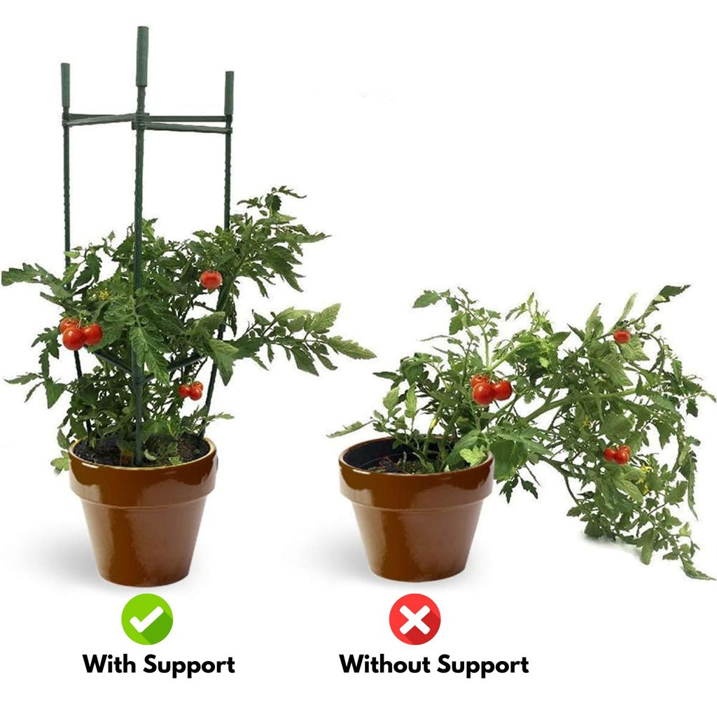 3 Sets Tomato Supports Cages with 20 Clips - Green