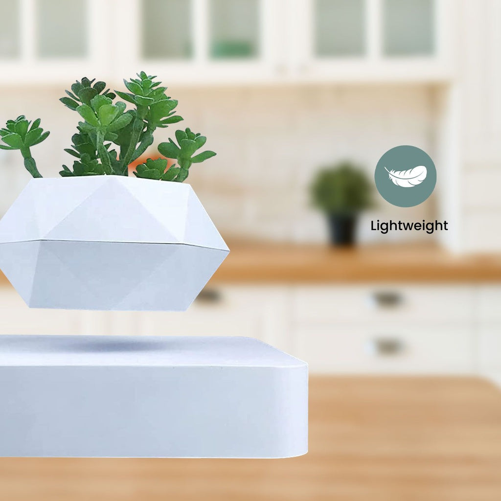 Magnetic Levitating Plant Pot - White