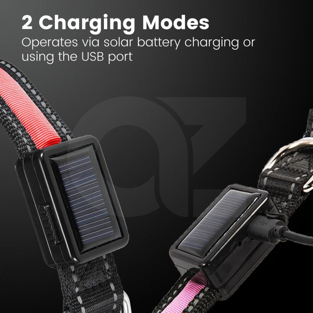 Solar USB Rechargable LED Dog Collar (L Pink)