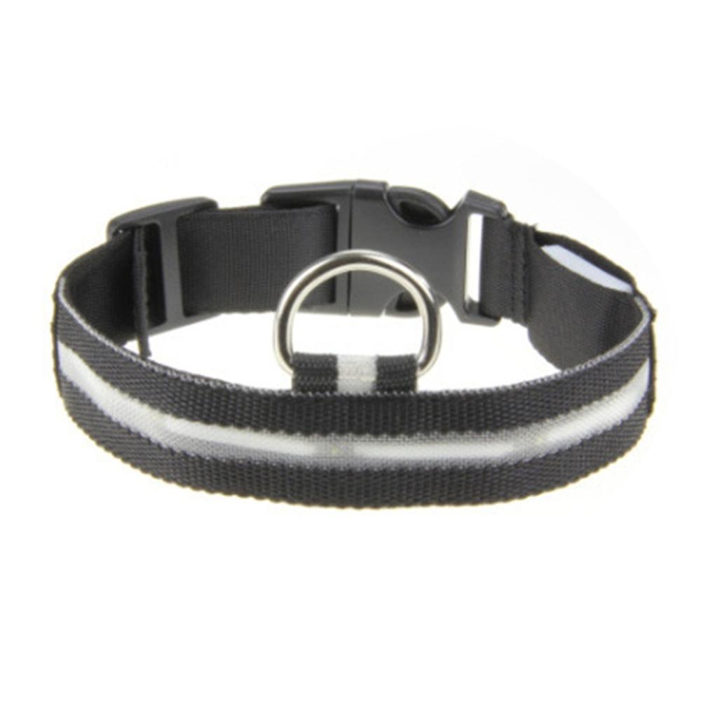 Ultra-Bright LED Dog Collar (S Black)