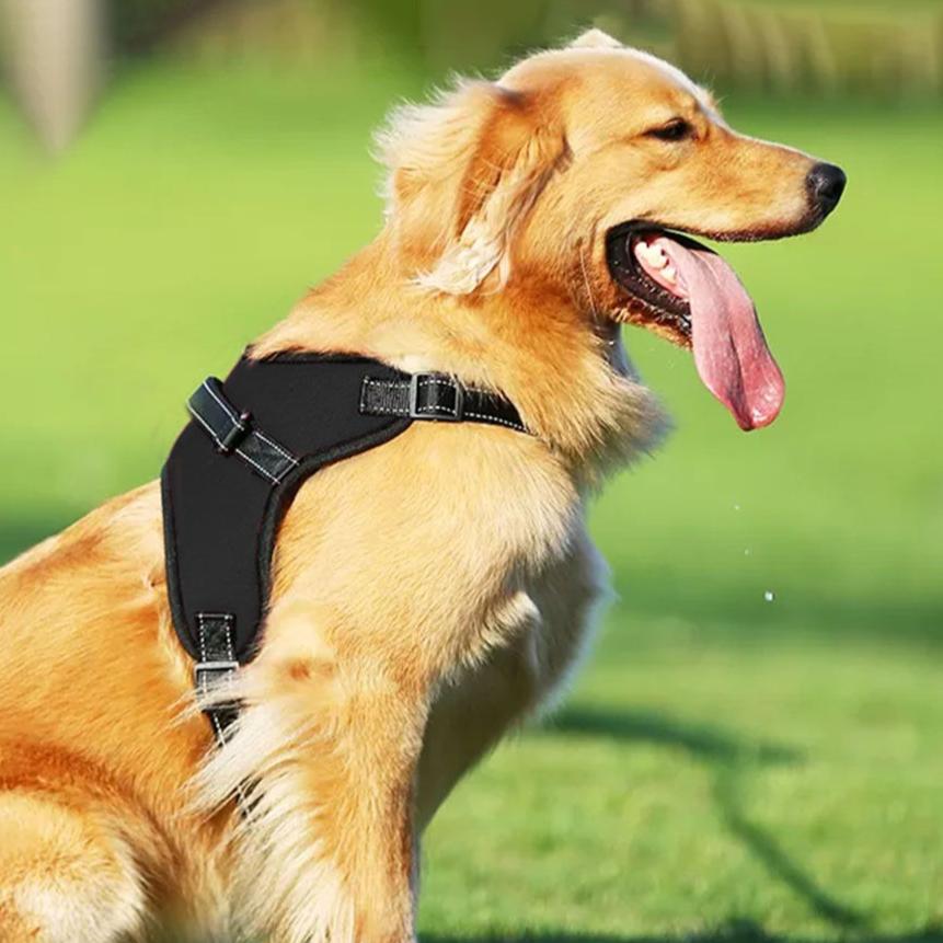 Durable Dog Harness L Size (Black)