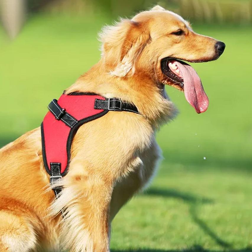 Durable Dog Harness S Size (Red)