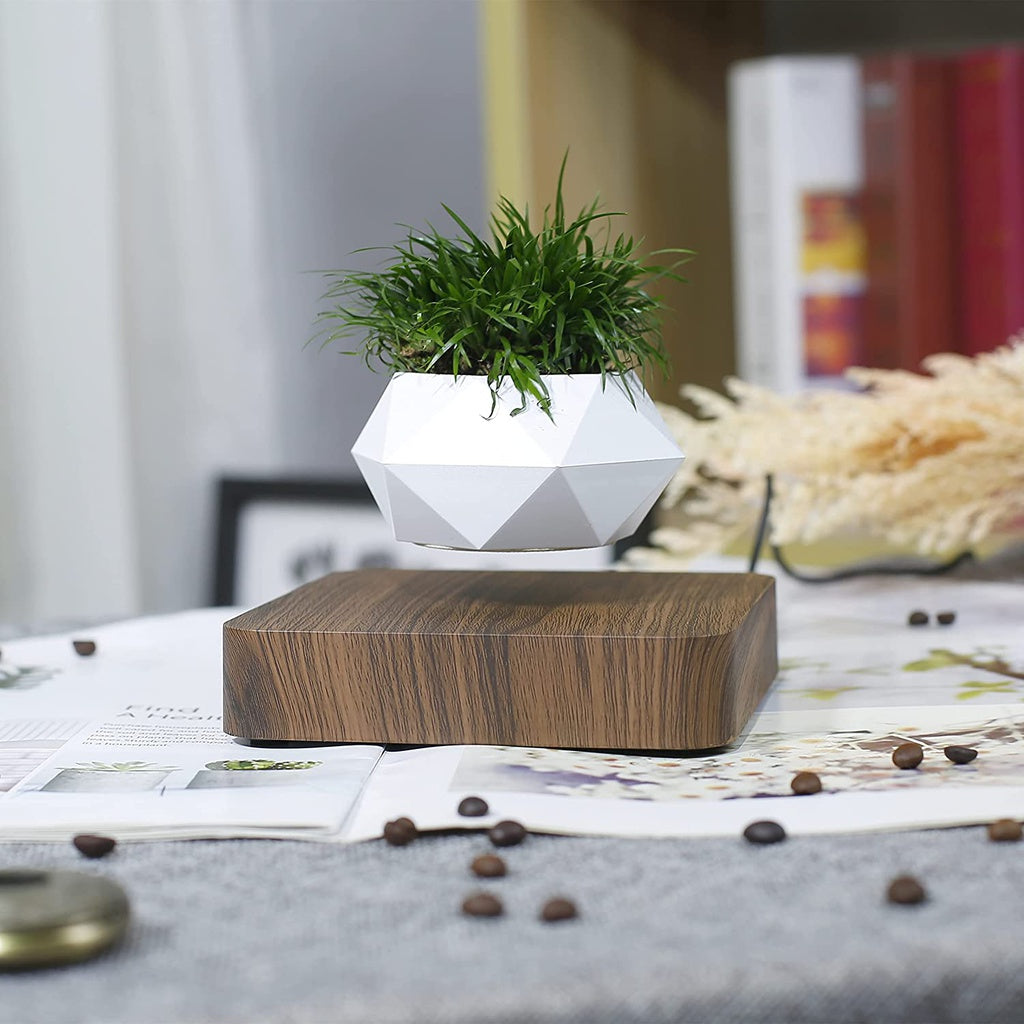 Magnetic Levitating Plant Pot Dark Brown Base