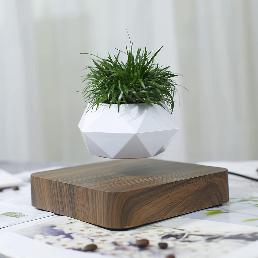 Magnetic Levitating Plant Pot Dark Brown Base