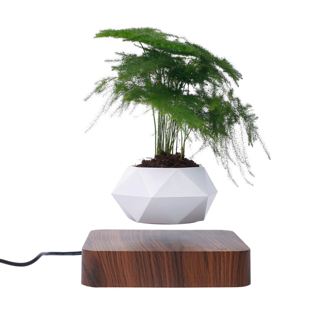 Magnetic Levitating Plant Pot Dark Brown Base