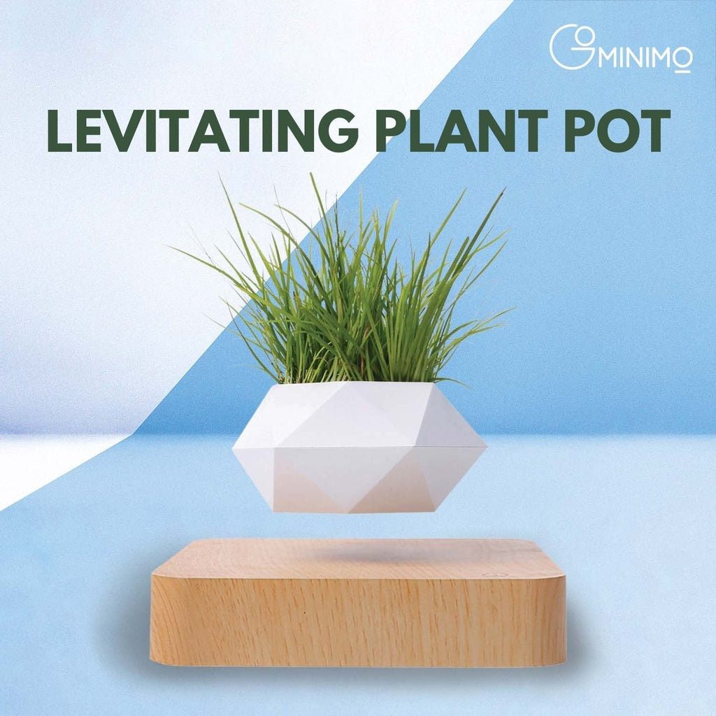 Magnetic Levitating Plant Pot