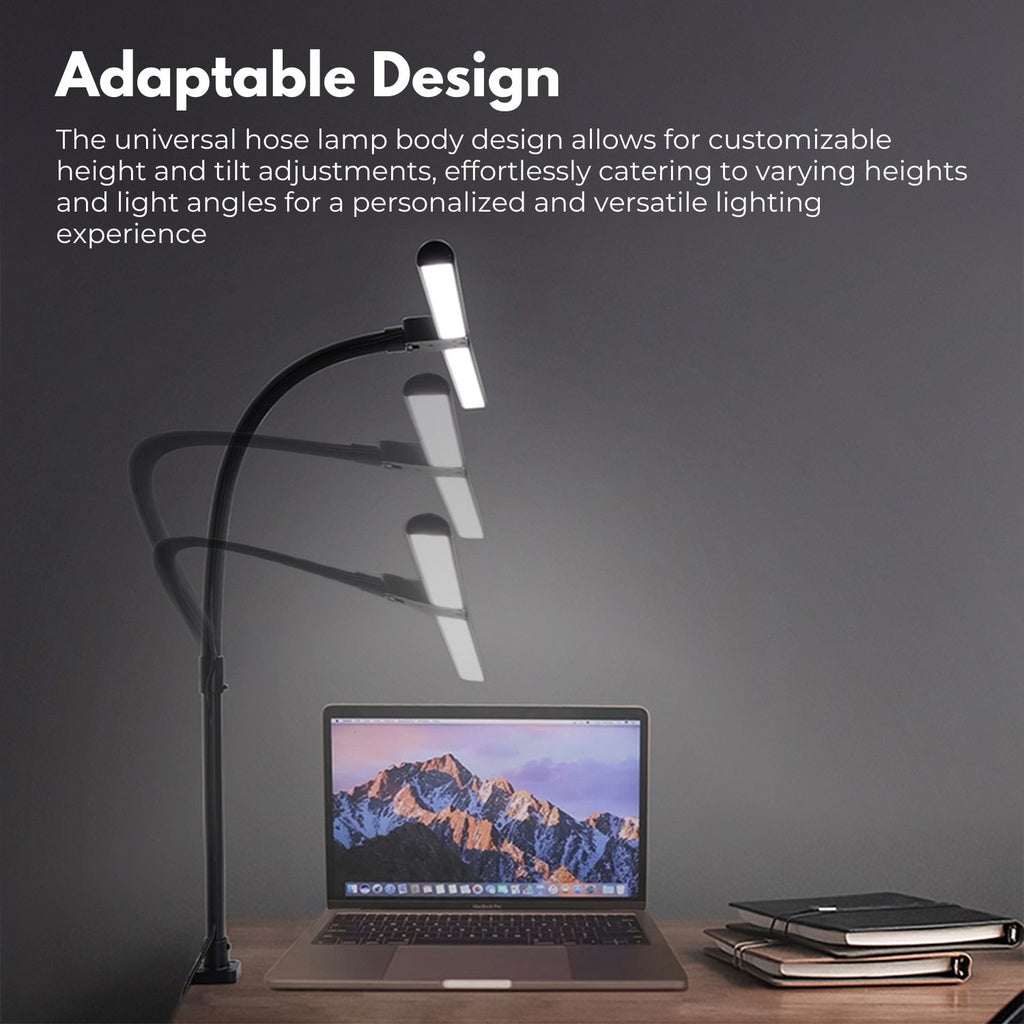 24W Double Head LED Desk Lamp with 5 Color Modes (Black)