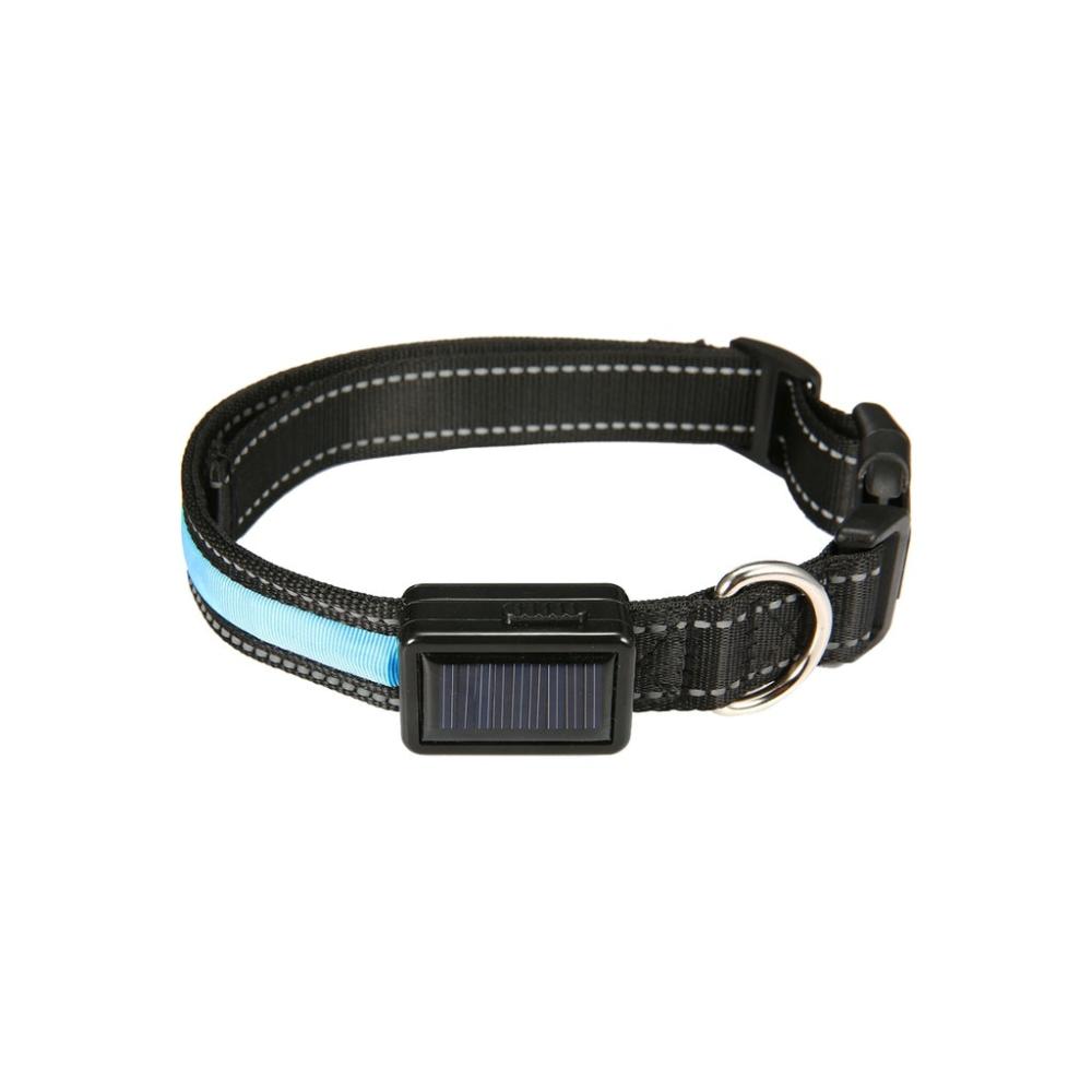 Solar USB Rechargable LED Dog Collar (M Blue)