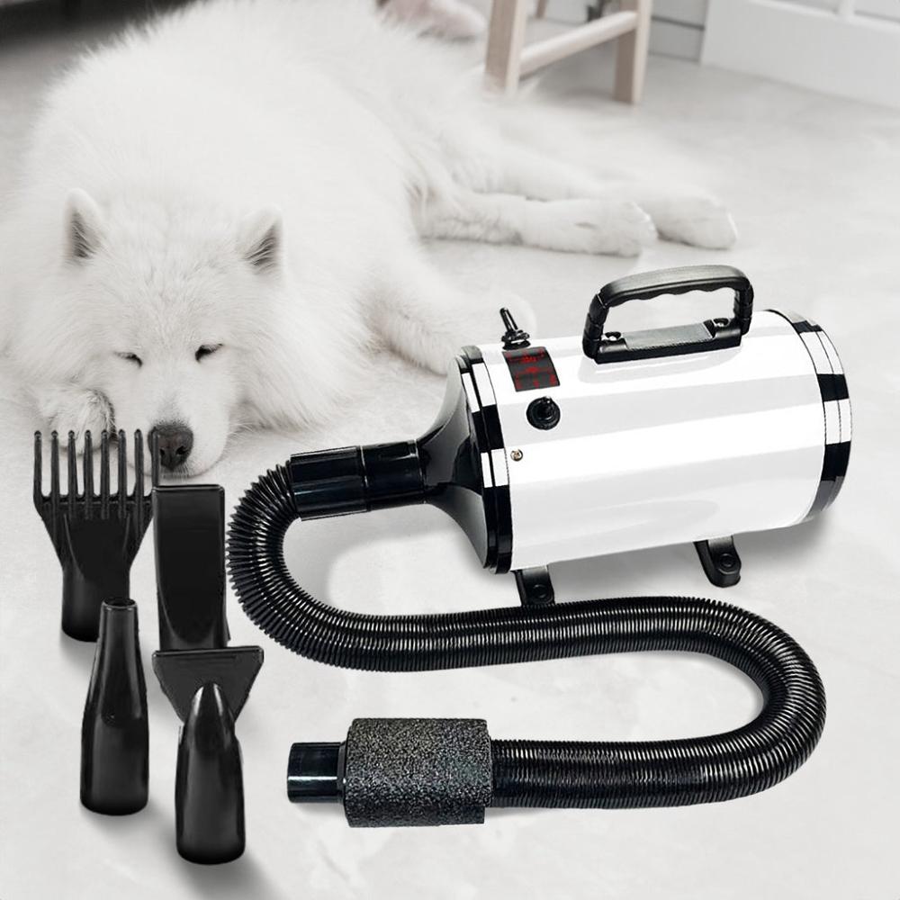 Basic Powerful Pet Hair Dryer - White