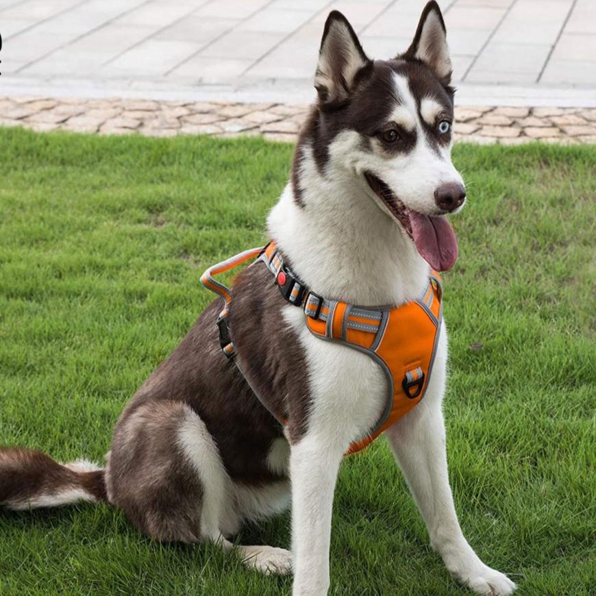 Adjustable Dog Harness Vest XXL Size (Orange)