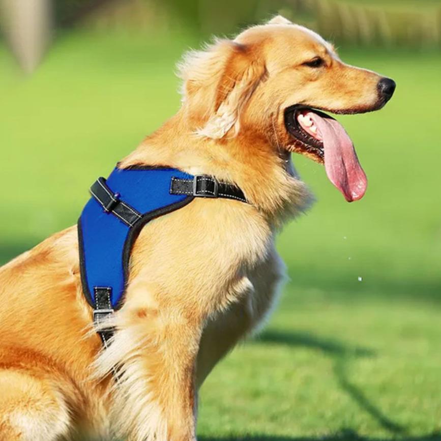 Durable Dog Harness S Size (Blue)