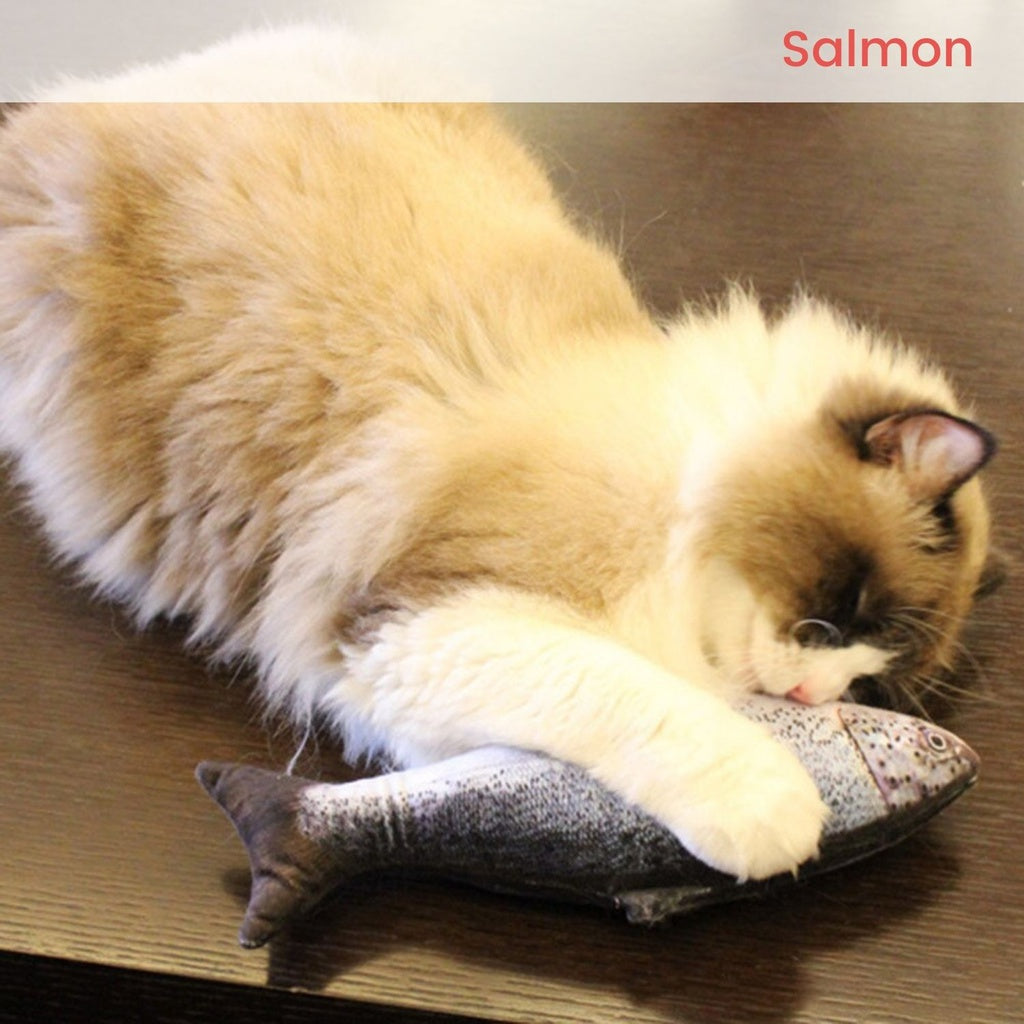 Rechargeable USB Electric Fish Toy - Salmon