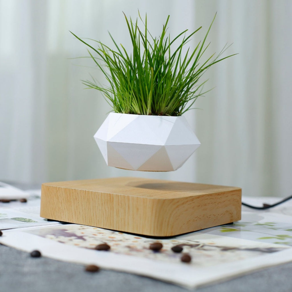 Magnetic Levitating Plant Pot