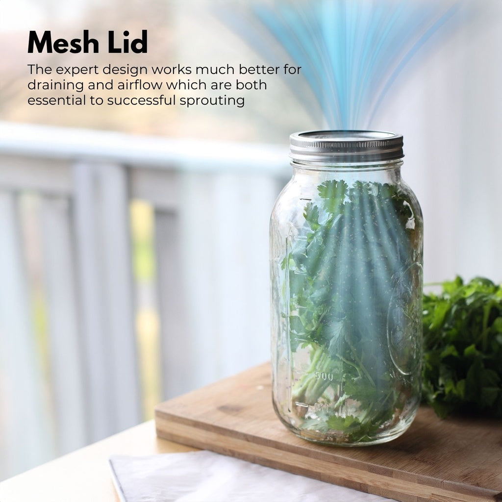 Mason Jar Sprouting Kit with Stainless Steel Lids - Pack of 2