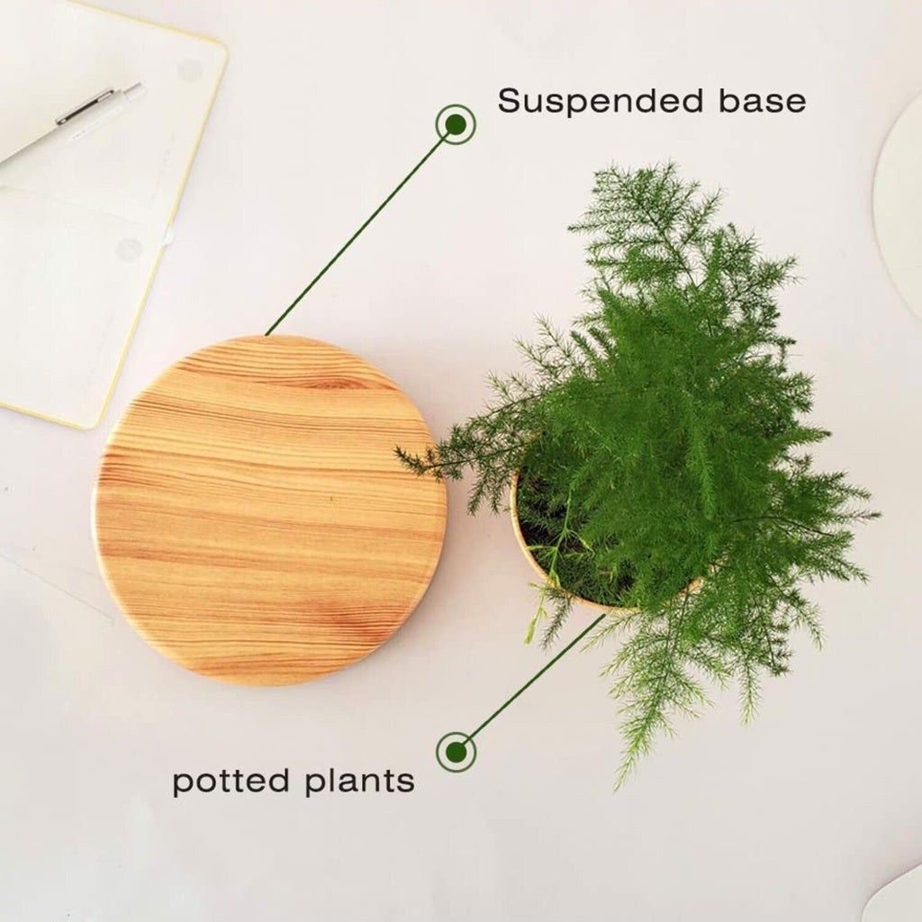 Magnetic Levitating Plant Pot Oak