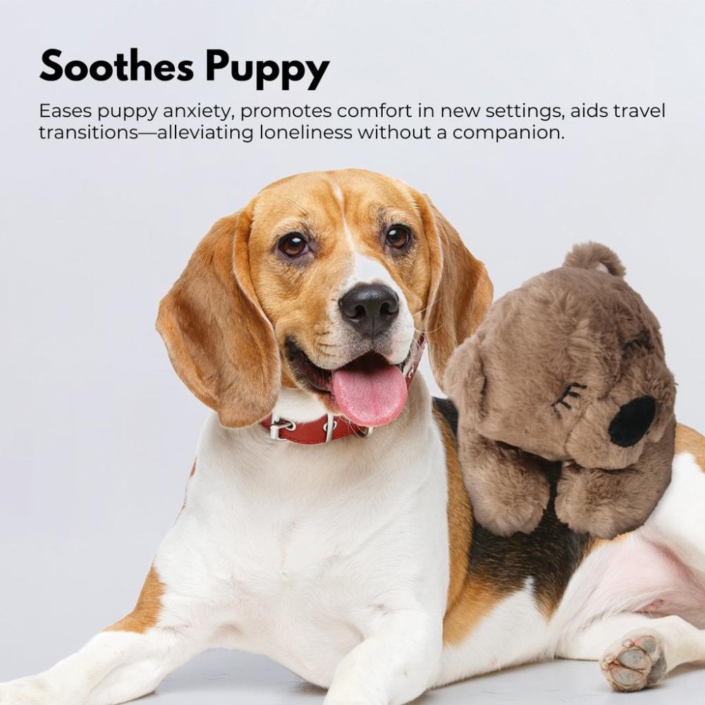 Pets Soft Plush Toy - Brown