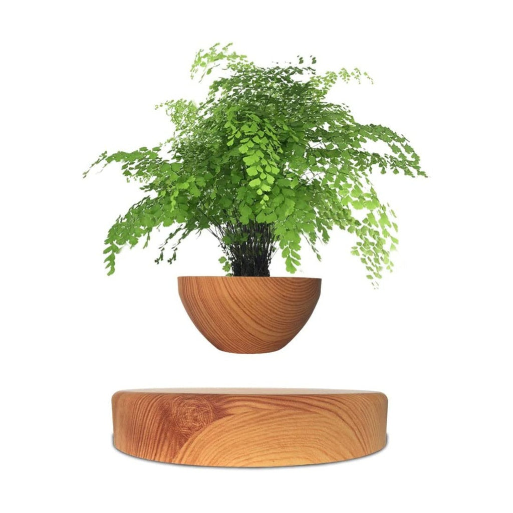 Magnetic Levitating Plant Pot Oak