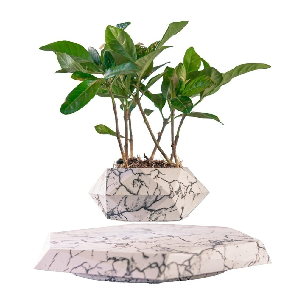 Magnetic Levitating Plant Pot Marble