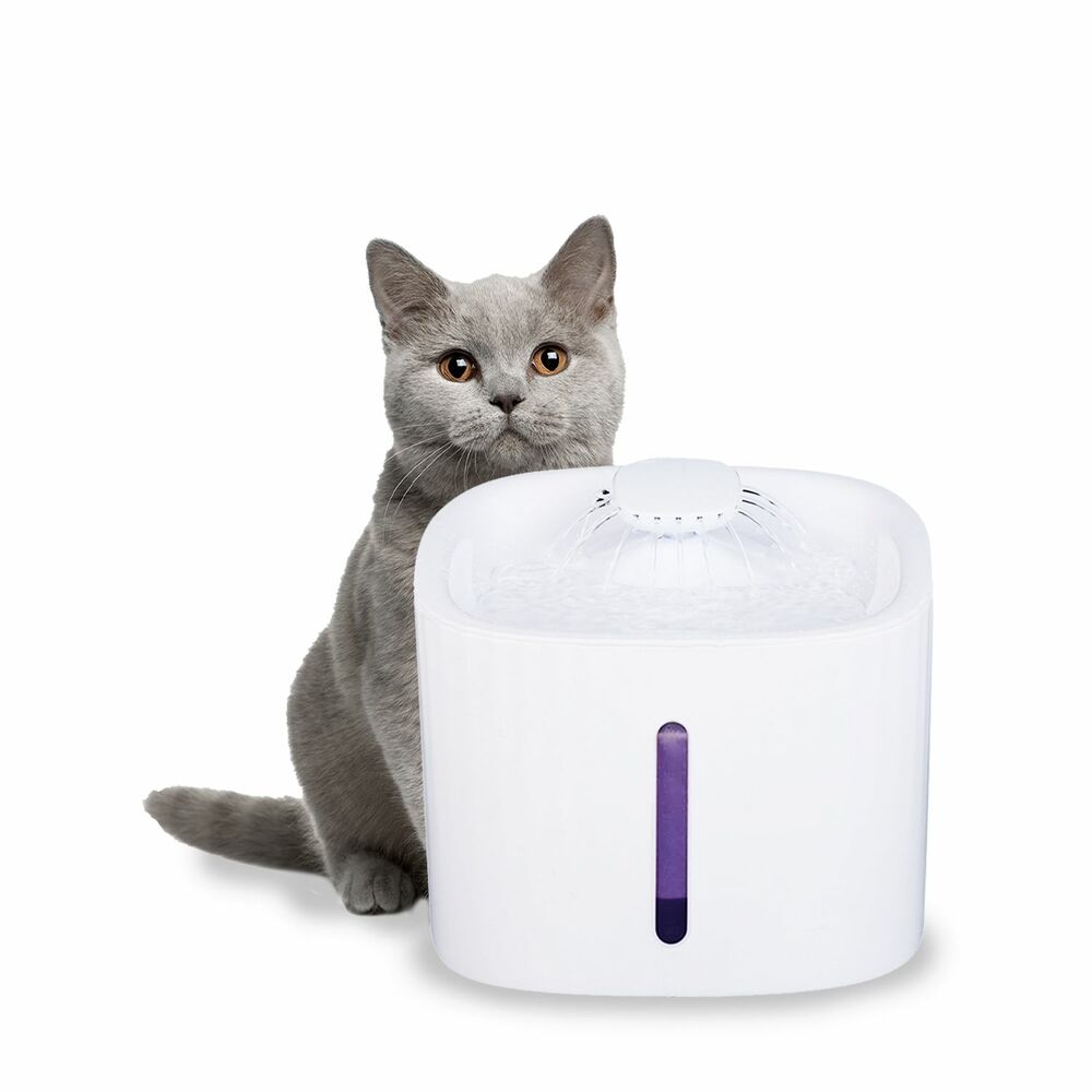 Pet LED USB Water Fountain Dispenser