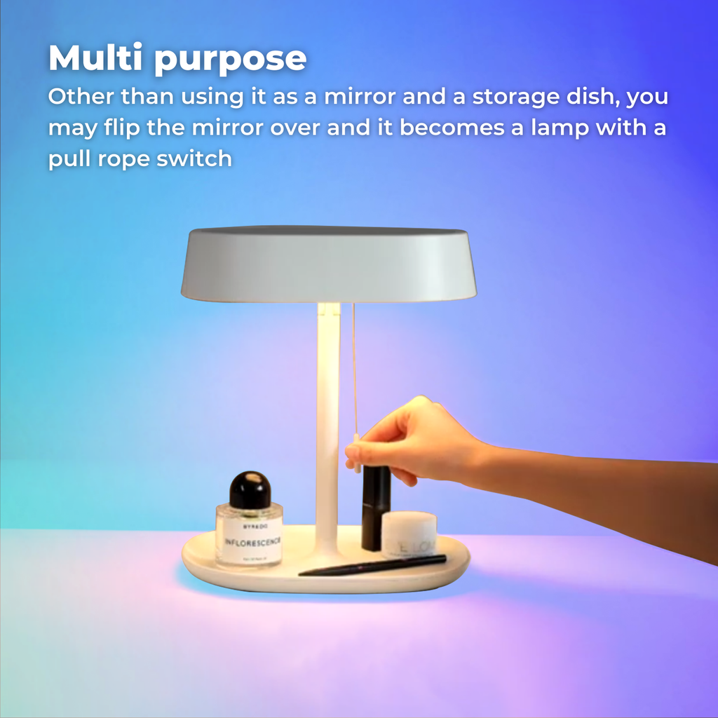 Portable Make Up Mirror with LED Light