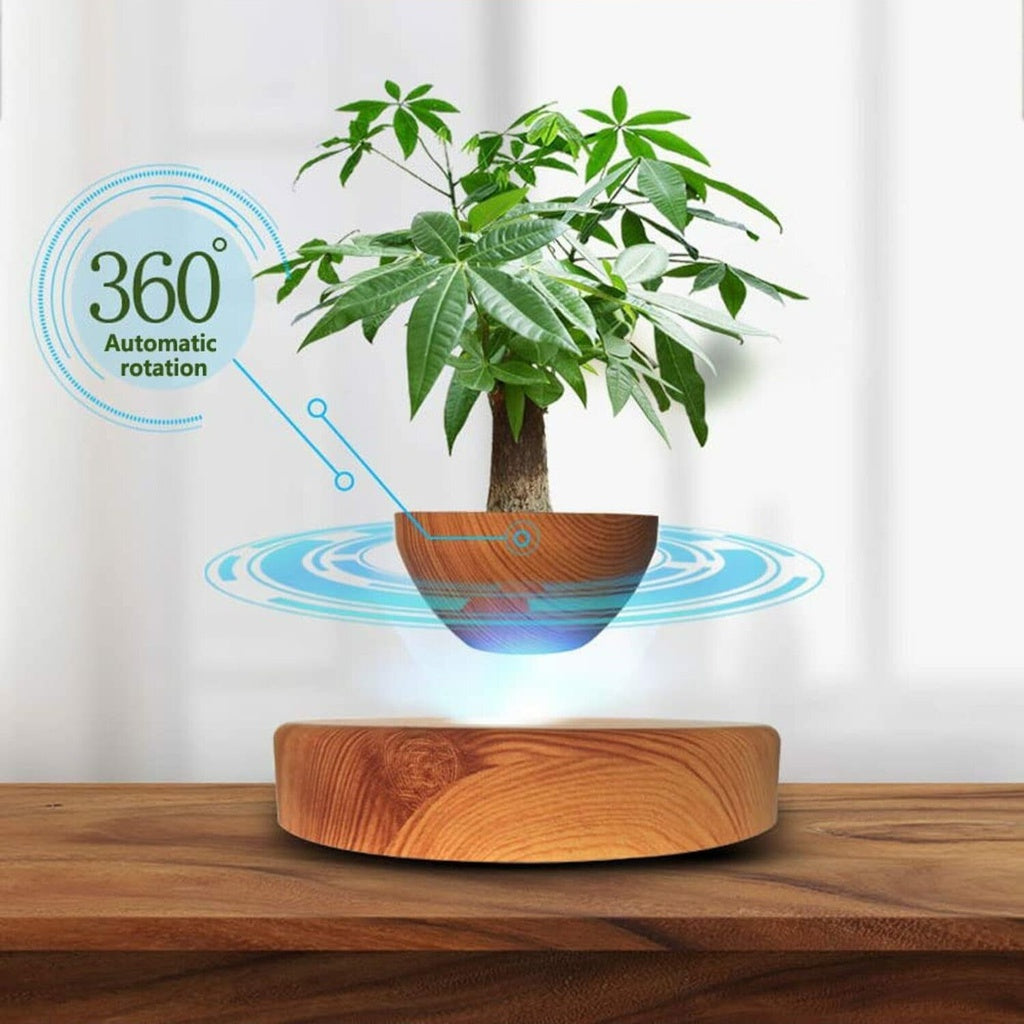 Magnetic Levitating Plant Pot Oak