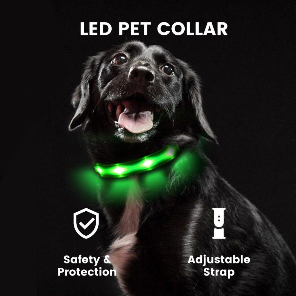 Adjustable LED Dog Collar (S Blue)