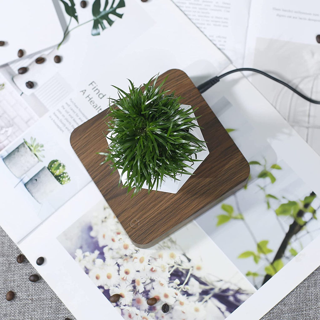 Magnetic Levitating Plant Pot Dark Brown Base