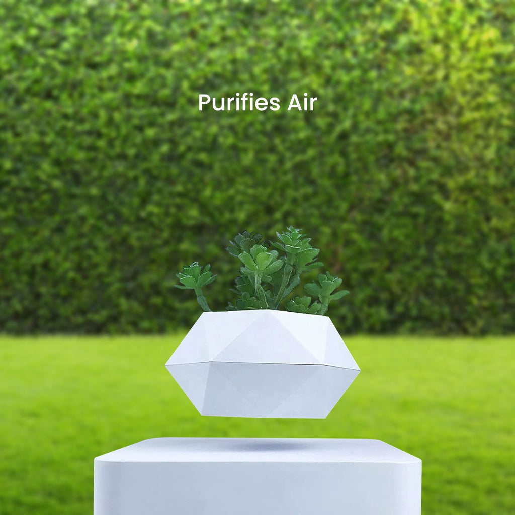 Magnetic Levitating Plant Pot - White