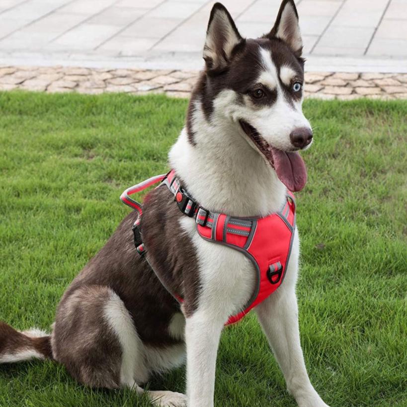 Comfortable Dog Harness Vest XL Size (Red)