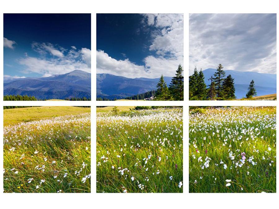 Swiss Alps in the Summer Scene Wall Art