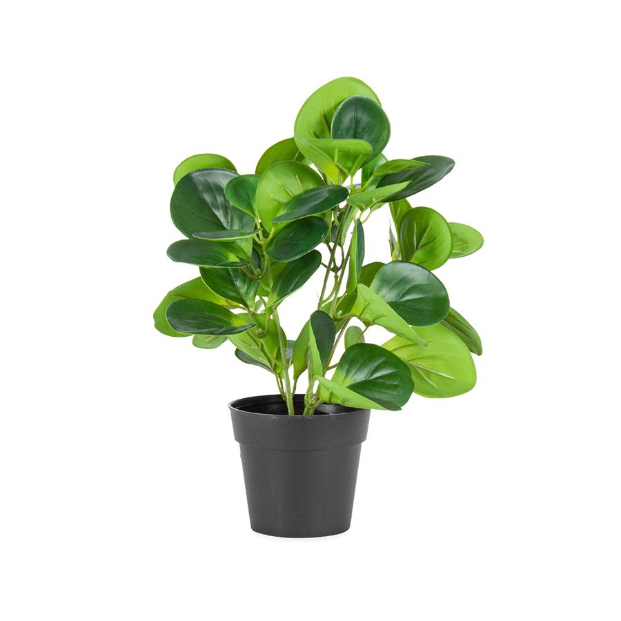 Potted Artificial Plants Coin Leaf Peperomia