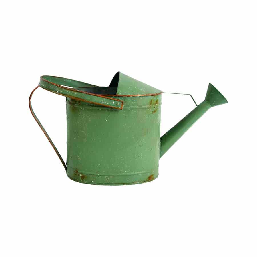 Rustic "Fresh Flowers" Watering Can - Distressed Green