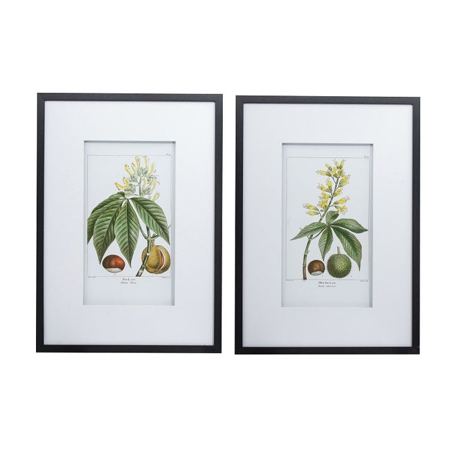 Flowers & Fruit With Leaves set of 2 Wall Art