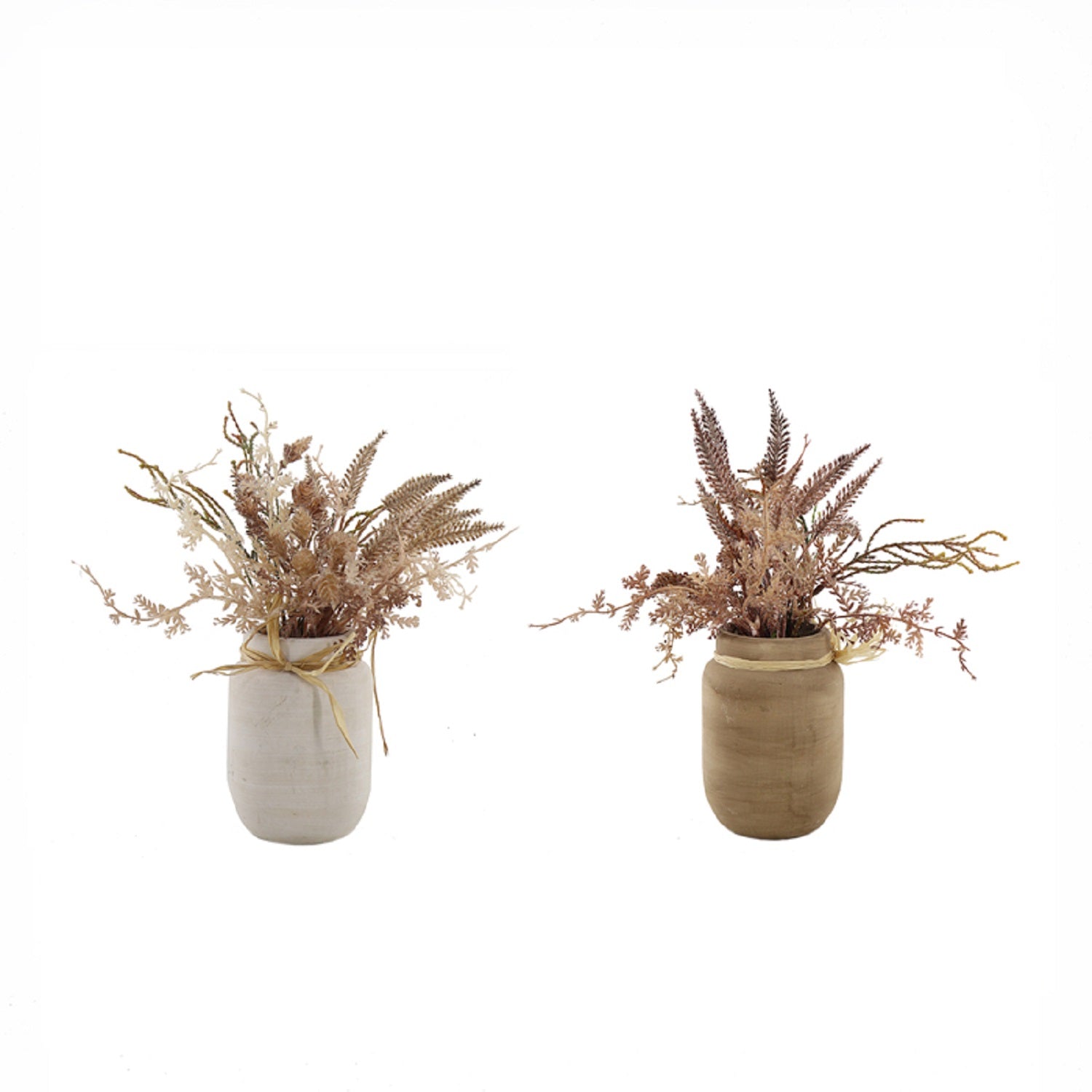 Dried Flowers in Ceramic Jar Set Of 2