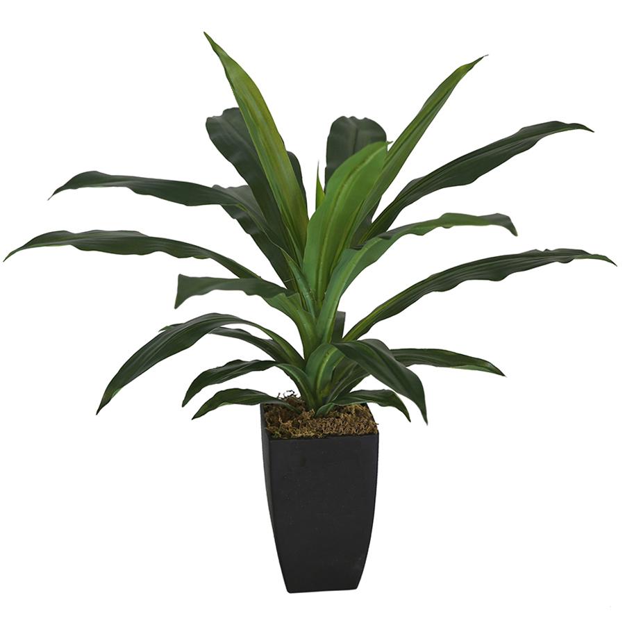 Potted Artificial Plants Janet Craig Dracaena 58cms