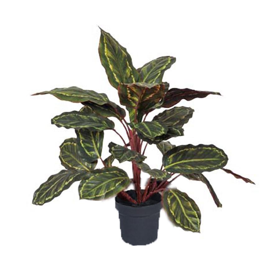 Potted Artificial Calathea Plant 48cms